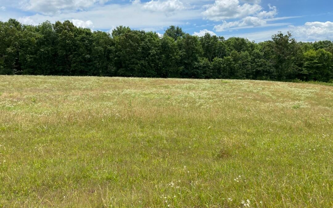 Lot 35 & Lot 36 Shadow Mtn Estates