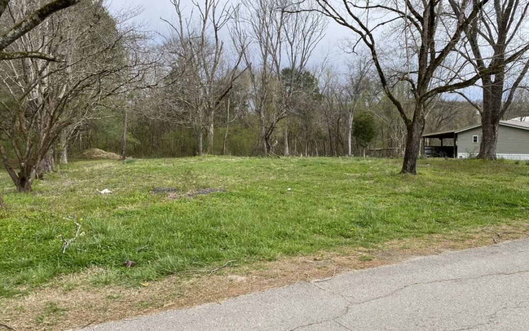 Unrestricted 0.32+- Acre Building Lot • Water Meter