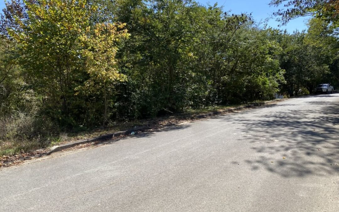 0.48+/- Acres • Building Lot • City Limits