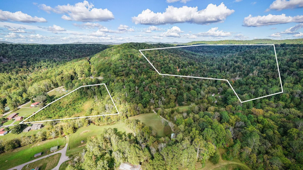 Home & 78+/- Acres • Private • Woodland • Fixer Upper • 2 Tracts