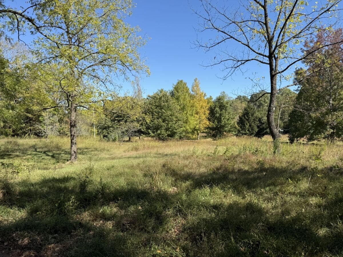 Brick Home & 25.74+/- Acres • Ponds • Mature Woodland • Creek Frontage • In Tracts